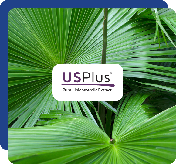 USPlus NuProstate